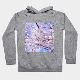 SCENERY 35 - White Blooming Flower Blue Sky Hoodie